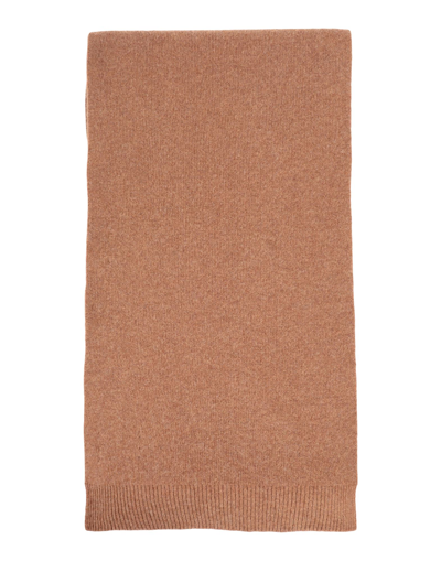 Colorful Standard Scarves In Beige