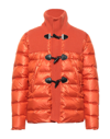 Bark Down Jackets In Orange