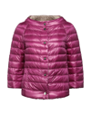 Herno Down Jackets In Mauve