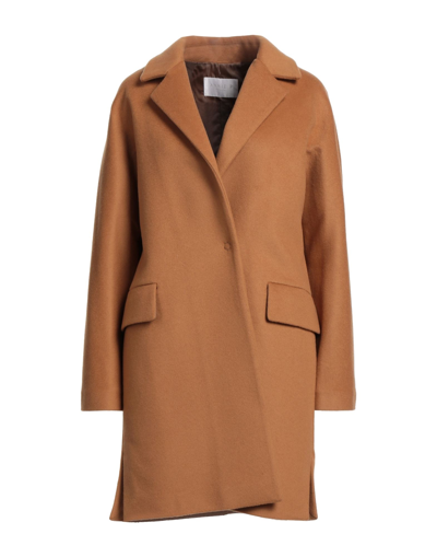 Annie P . Woman Coat Brown Size 4 Virgin Wool, Polyamide, Cashmere
