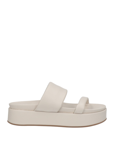 Habille Sandals In White