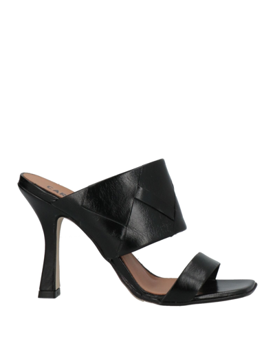 Carmens Sandals In Black