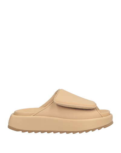 Gia Borghini Woman Sandals Sand Size 7 Textile Fibers, Soft Leather In Beige