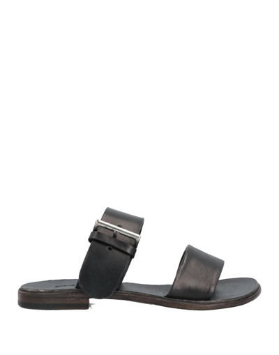 Preventi Sandals In Black