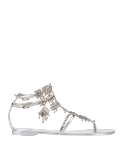 Giuseppe Zanotti Toe Strap Sandals In Silver