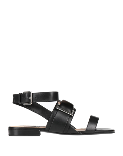 Sergio Rossi Sandals In Black