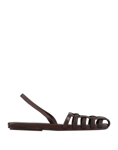 Marsèll Sandals In Brown