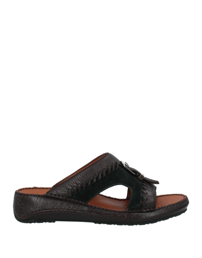 Pakerson Sandals In Dark Brown