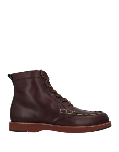 Tod's Ankle Boots In Brown