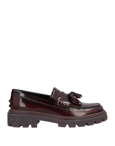 Tod's Loafers In Maroon