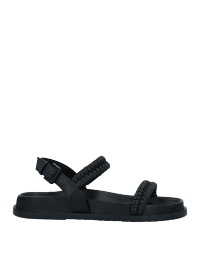 Arezzo Sandals In Black