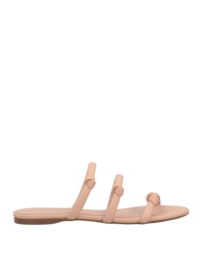 Arezzo Sandals In Pink