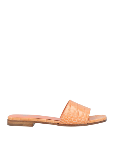 Paris Texas Sandals In Orange