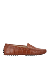 Tod's Loafers In Brown