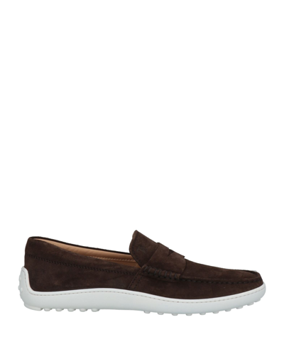 Tod's Loafers In Brown