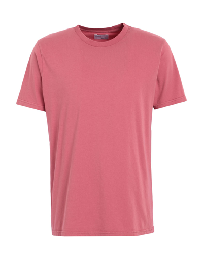 Colorful Standard T-shirts In Pink