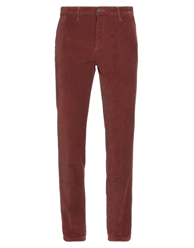 Liu •jo Man Pants In Brown