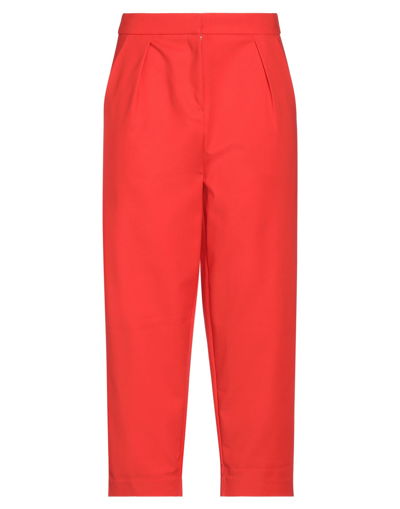 Anonyme Designers Pants In Red