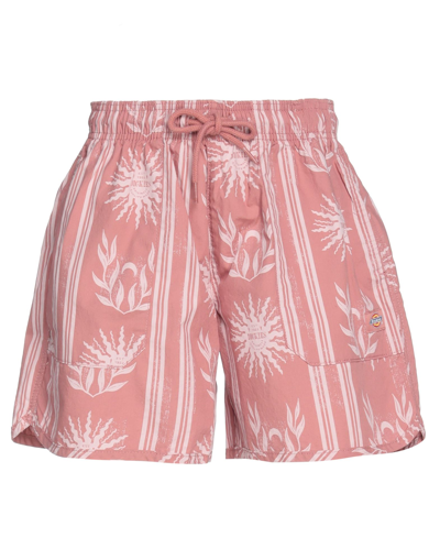 Dickies Woman Shorts & Bermuda Shorts Pastel Pink Size S Cotton