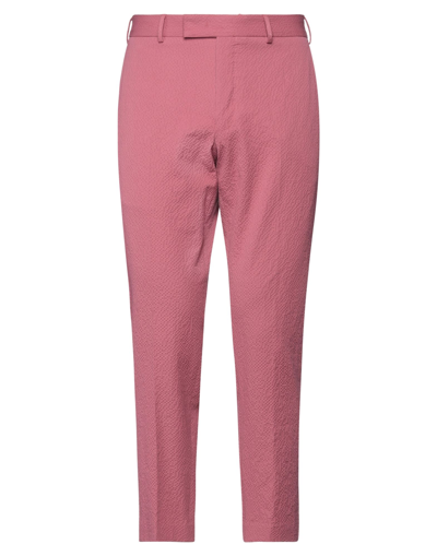 Pt Torino Pants In Pastel Pink