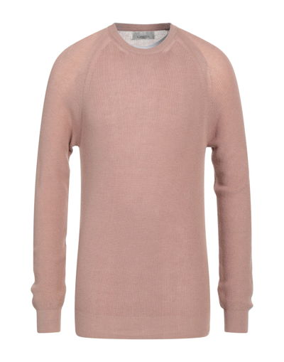 Laneus Man Sweater Light Brown Size 42 Cotton In Beige