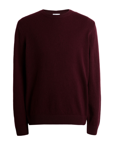 Colorful Standard Jumpers In Red