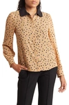 Dr2 By Daniel Rainn Peter Pan Collar Polka Dot Button Front Long Sleeve Blouse In Camel