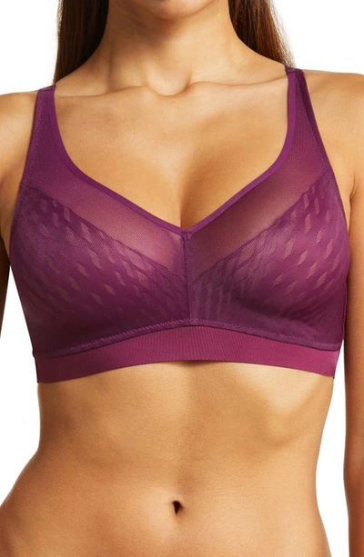 Wacoal Elevated Allure Wireless Bra In Pickled Beet