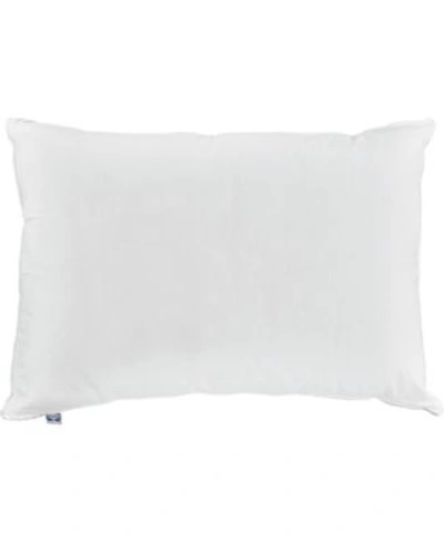 Sealy Medium Support Pillows For Stomach Sleepers In White