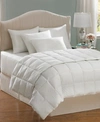 TRANQUILITY COTTON BREATHABLE ALLERGY PROTECTION COMFORTERS