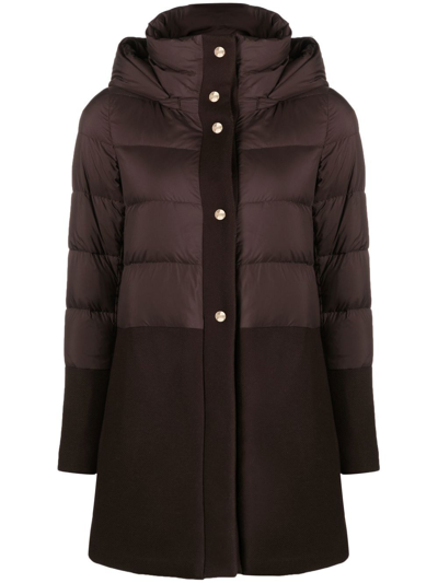 Herno Padded Single-breasted Coat In Brown