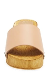 Seychelles Marine Layer Clog In Vacchetta Leather