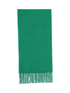 Golden Goose Journey Scarf Alpaca Wool Brushed With Long Fringe In Verde