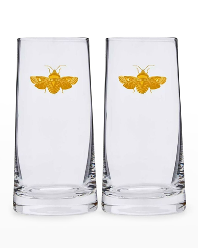 Spode Creatures Of Curiosity Highball Glasses, Set Of 2