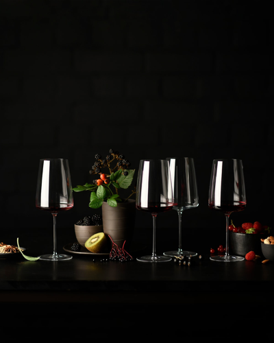 Fortessa Zwiesel Glas Handmade Simplify Red Wine (1) 18.8oz, Set Of 2 In Clear