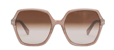 Celine Cl 40230 F 74f Butterfly Sunglasses In Brown