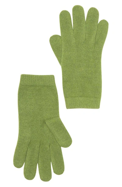 Portolano Solid Cashmere Gloves In Cedar Green