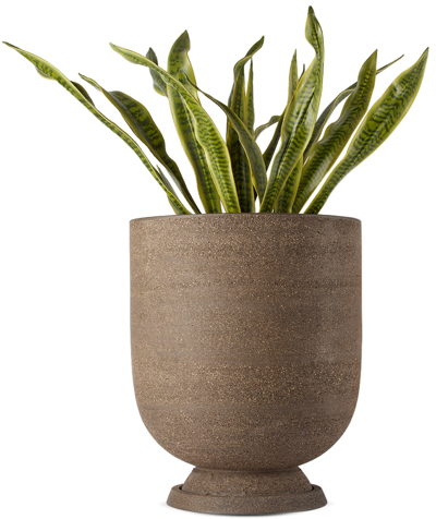 Aytm Brown Terra Flower Pot & Saucer In Java Brown