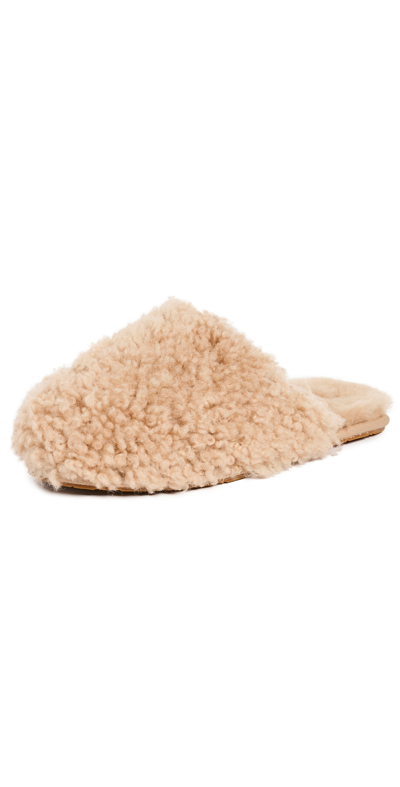 Ugg Maxi Curly Slides In Sand