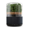 Briiv Air Filter