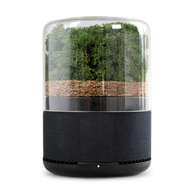 Briiv Air Filter