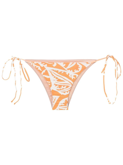 Clube Bossa Aava Leaf-print Bikini Bottoms In Orange