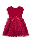 BLUSH BY US ANGELS LITTLE GIRL'S & GIRL'S EMBROIDERED 3D FLOWER MESH DRESS