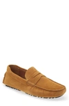 Nordstrom Brody Driving Penny Loafer In Tan Spice