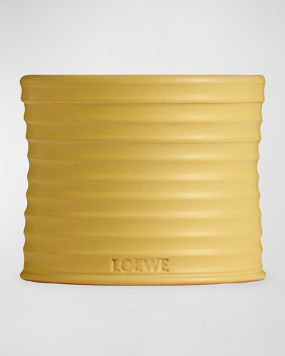 Loewe 21.5 Oz. Medium Honeysuckle Candle