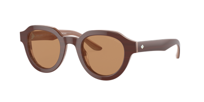 Giorgio Armani Woman Sunglass Ar8172u In Brown