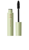 Pixi Large Lash Mascara In Bold Black