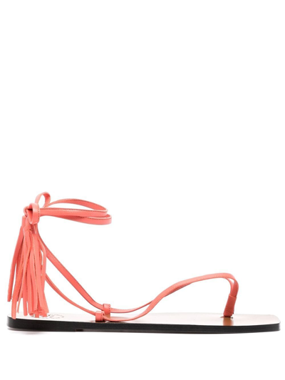 Atp Atelier Tortona Coral Leather Thong Sandals