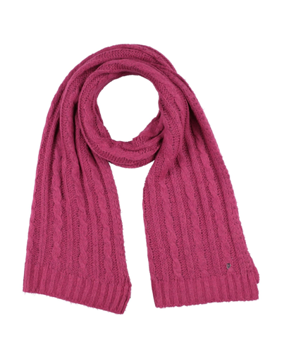 Dondup Scarves In Fuchsia