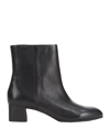 Camper Meda Ankle Booties In Black